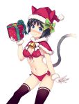  animal_ears bell black_hair blue_eyes box cat_ears cat_tail closed_mouth daibouken!_yukeyuke_osawari_island gift gift_box gift_wrapping gloves hat hat_with_ears holding ichigo_(daibouken!_yukeyuke_osawari_island) looking_at_viewer nontan official_art santa_costume santa_gloves santa_hat short_hair skirt smile tail underwear 