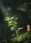  1girl brown_hair cloak closed_mouth commentary copyright_request dutch_angle forest grass highres hiranko hood hood_up hooded_cloak light_rays nature smile solo standing 