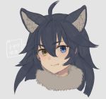  1girl ancolatte_(onikuanco) animal_ear_fluff animal_ears blue_eyes blush dark_blue_hair extra_ears eyebrows_visible_through_hair fang fur_collar grey_wolf_(kemono_friends) headshot heterochromia highres kemono_friends long_hair solo translated wolf_ears yellow_eyes 