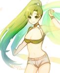  1girl bikini fire_emblem fire_emblem:_rekka_no_ken fire_emblem_heroes green_eyes green_hair high_ponytail highres kumo_(sopurano_22) long_hair lyndis_(fire_emblem) navel nintendo pelvic_curtain ponytail shorts smile solo swimsuit 