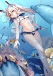  1girl absurdres adapted_costume aer_(tengqiu) ayanami_(azur_lane) azur_lane bare_shoulders bikini bikini_skirt black_choker blue_bikini_bottom bracelet breasts bubble caustics choker collarbone commentary_request day dolphin eyebrows_visible_through_hair fish freediving full_body groin hair_between_eyes handkerchief headgear highres jewelry light_brown_hair light_rays long_hair looking_at_viewer medium_breasts navel orange_eyes outdoors parted_lips ponytail remodel_(azur_lane) school_uniform serafuku shirt sleeveless sleeveless_shirt solo sunbeam sunlight swimsuit under_boob underwater very_long_hair white_bikini_top white_shirt 