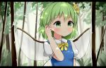  1girl antidote arm_at_side arm_up blue_dress blurry breasts commentary_request daiyousei day depth_of_field dress eyebrows_visible_through_hair fairy_wings forest green_eyes green_hair hair_between_eyes hair_ribbon hand_in_hair letterboxed light_frown looking_to_the_side nature outdoors partial_commentary pinafore_dress puffy_short_sleeves puffy_sleeves ribbon shirt short_hair short_sleeves small_breasts solo touhou transparent_wings upper_body white_shirt wing_collar wings yellow_neckwear yellow_ribbon 
