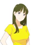  1girl black_eyes blush breasts brown_hair long_hair looking_at_viewer medium_breasts onee-san_(penguin_highway) penguin_highway pre3445 shirt simple_background smile solo upper_body white_background yellow_shirt 