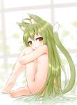  1girl ahoge akashi_(azur_lane) animal_ears ass azur_lane bangs barefoot blush breasts brown_eyes cat_ears cat_girl cat_tail commentary_request eyebrows_visible_through_hair full_body green_hair hair_between_eyes highres kamisaka kemonomimi_mode leg_hug long_hair looking_at_viewer looking_to_the_side mole mole_under_eye nude parted_lips sitting small_breasts soles solo tail thighs very_long_hair 