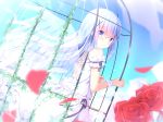  1girl :o bangs bare_shoulders blue_eyes blue_hair blue_sky blush cage commentary_request cross-laced_clothes day dress dutch_angle eyebrows_visible_through_hair feathered_wings flower gochuumon_wa_usagi_desu_ka? hair_between_eyes hair_ornament holding in_cage kafuu_chino kouda_suzu long_hair looking_at_viewer looking_to_the_side outdoors parted_lips petals red_flower red_rose rose rose_petals sky sleeveless sleeveless_dress solo transparent_wings very_long_hair white_dress wings wrist_cuffs x_hair_ornament 