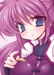  blue_eyes blush braid breasts close-up fingerless_gloves frown gloves long_hair mahou_shoujo_lyrical_nanoha mahou_shoujo_lyrical_nanoha_a's mahou_shoujo_lyrical_nanoha_strikers purple_hair signum solo turtleneck 