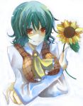 breast_hold breasts bust crossed_arms flower green_hair holding holding_flower kazami_yuuka plaid_vest red_eyes short_hair sunflower suzumura_tomo touhou white_background 