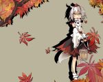  ahoge autumn bucket detached_sleeves fang hat hato_haru highres inubashiri_momiji leaf leaves sandals short_hair silver_hair skirt solo tail touhou water wolf_tail yellow_eyes 