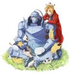  2boys alphonse_elric animal animal_on_head antenna_hair apron armor black_shirt blonde_hair blush brothers cat cat_on_head coat edward_elric expressionless flamel_symbol full_armor full_body fullmetal_alchemist gloves grass helmet male_focus multiple_boys on_head red_coat resting shaded_face shirt siblings simple_background sitting standing sweatdrop tabixneko too_many too_many_cats white_background yellow_eyes 