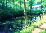  day forest house nature no_humans original outdoors reflection scenery stream toichi_(ik07) tree 