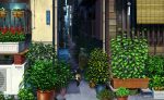  air_conditioner alley brick cat day flower highres original outdoors pei_(sumurai) plant potted_plant roller_shades scenery sign translated wind_chime window 