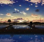  no_humans original outdoors pei_(sumurai) power_lines rice_paddy scenery silhouette sunrise tree 