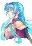  1girl aqua_eyes aqua_hair armor aureolin31 bangs breastplate chest_armor closed_mouth commentary_request eirika fire_emblem fire_emblem:_seima_no_kouseki fire_emblem_heroes high_collar highres long_hair nintendo pauldrons profile shoulder_armor 