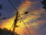  blue_sky commentary day english_commentary highres making_of mclelun multicolored multicolored_sky no_humans original outdoors photoshop_(medium) power_lines scenery sky telephone_pole tree twilight 