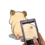  animal ass cellphone fingernails from_behind fukurou_(owl222) hamster hand lowres original out_of_frame phone simple_background smartphone tail taking_picture white_background 