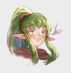  1girl blush cape chiki fire_emblem fire_emblem:_mystery_of_the_emblem fire_emblem_heroes green_eyes green_hair hood krazehkai long_hair looking_at_viewer mamkute nintendo pointy_ears ponytail smile solo tiara 