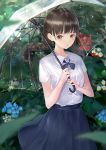  1girl bangs blue_flower blue_skirt blurry blurry_foreground blush braid breasts brown_eyes brown_hair chromatic_aberration collared_shirt commentary_request depth_of_field dress_shirt eyebrows_visible_through_hair flower holding holding_umbrella long_hair looking_at_viewer low_twintails original outdoors parted_lips pleated_skirt rain red_flower school_uniform shii_(kairi-t-k0317) shirt short_sleeves sidelocks skirt small_breasts solo standing transparent transparent_umbrella twin_braids twintails umbrella very_long_hair white_flower white_shirt 