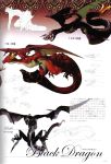  concept_art drag-on_dragoon dragon drakengard fujisaka_kimihiko official_art 