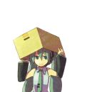  cardboard_box detached_sleeves green_eyes green_hair hatsune_miku kusaka_yoru necktie smile twintails vocaloid 