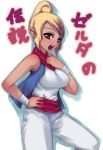  aikawa_touma blush breasts darabuchi nintendo pirate pointy_ears tan tetra the_legend_of_zelda tomboy translated wind_waker 