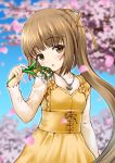  1girl bangs blue_sky blurry blurry_background blush breasts brown_eyes brown_hair cherry_blossoms cross-laced_clothes dress eyebrows_visible_through_hair flower hair_ribbon idolmaster idolmaster_cinderella_girls jewelry kaishinshi long_hair long_sleeves looking_at_viewer necklace open_mouth parted_lips petals ponytail ribbon sky small_breasts tree very_long_hair yellow_dress yellow_ribbon yorita_yoshino 