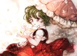 abstract_background dress earrings green_hair holding holding_umbrella jewelry kazami_yuuka majamari open_mouth outstretched_hand parasol petals red_dress red_eyes short_hair sketch touhou umbrella wind 