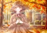  1girl autumn autumn_leaves blurry blush bokeh book book_hug brown_dress brown_eyes brown_hair commentary_request day depth_of_field dress eyebrows_visible_through_hair fingernails hair_blowing hands_together high_collar highres holding holding_book hoshiibara_mato house ironwork long_sleeves looking_at_viewer medium_hair neck_ribbon original outdoors parted_lips ribbon sash solo tree upper_body wind 