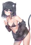  1girl absurdres adagaki_aki animal_ears bangs bare_shoulders bikini_top black_hair blush breasts cat_ears cat_tail collarbone commentary cowboy_shot eyebrows_visible_through_hair fang front-tie_top hair_between_eyes hand_in_pocket highres jacket kemonomimi_mode leaning_forward long_sleeves looking_at_viewer masamune-kun_no_revenge off_shoulder short_hair simple_background slit_pupils small_breasts solo standing strap_lift sunhyun tail violet_eyes white_background 