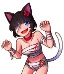  1girl :d animal_ears bandage bandaged_arm bandaged_head bandages bare_shoulders black_hair blood blood_stain blue_eyes breasts cat_ears cat_tail chocolate_(rabi_ribi) choker claw_pose cleavage error eyebrows_visible_through_hair eyes_visible_through_hair fang flower hair_flower hair_ornament halloween halloween_costume hands_up looking_at_viewer medium_breasts midriff mummy_costume navel one_eye_covered open_mouth pumpkin rabi-ribi red_choker short_hair smile solo speckticuls tail transparent_background 