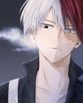  1boy black_eyes boku_no_hero_academia burn_mark collar heterochromia highres looking_at_viewer male_focus multicolored_hair redhead santai silver_hair solo todoroki_shouto two-tone_hair 