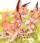  2girls animal_ear_fluff animal_ears bare_shoulders blonde_hair blue_eyes bow bowtie caracal_(kemono_friends) caracal_ears caracal_tail commentary_request elbow_gloves eyebrows_visible_through_hair fang gloves high-waist_skirt highres kemono_friends kneeling kolshica light_brown_hair multicolored_hair multiple_girls no_shoes open_mouth paw_pose serval_(kemono_friends) serval_ears serval_print serval_tail short_hair sitting skirt sleeveless tail thigh-highs white_hair yellow_eyes zettai_ryouiki 
