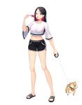  1girl :3 absurdres bangs black_hair black_shorts breasts commentary_request crop_top dog eyebrows_visible_through_hair flying_sweatdrops food full_body hair_between_eyes highres holding ju-ok leash long_hair looking_at_viewer medium_breasts midriff navel open_mouth original popsicle redhead sandals shiba_inu shirt shorts simple_background sketch_eyebrows solo standing summer sweat toes tongue tongue_out violet_eyes white_background white_shirt wide_sleeves 