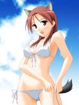  front-tie_top hyokkori_tamago minna-dietlinde_wilcke side-tie_bikini strike_witches swimsuit 