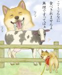  7c&#039; 7c' animal cow dog saliva shiba_inu tail tail_wagging tongue translated wagging 