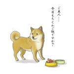 7c&#039; animal bowl dog food lowres pet_bowl shiba_inu 