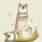  7c&#039; closed_eyes dog giving_up_the_ghost jewelry lowres lying necklace shiba_inu sleeping 