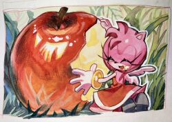  1girl amy_rose animal_ears animal_nose apple backless_outfit bracelet dress food fruit furry furry_female gloves gold_bracelet grass hedgehog_girl highres jewelry kneeling kosherea long_eyelashes on_grass open_mouth pink_fur pink_hair red_dress red_footwear short_tail smile solo sonic_(series) tail white_gloves wings 