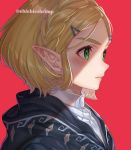  1girl bangs black_cloak blonde_hair braid cloak commentary crown_braid expressionless eyelashes from_side green_eyes hair_ornament hairclip link lips parted_bangs pointy_ears portrait princess_zelda red_background shade shirt short_hair shuri_(84k) simple_background solo symbol_commentary the_legend_of_zelda the_legend_of_zelda:_breath_of_the_wild the_legend_of_zelda:_breath_of_the_wild_2 thick_eyebrows twitter_username white_shirt 