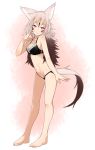  1girl akasha_(syakoba) animal_ear_fluff animal_ears barefoot black_bra black_panties bra breasts bright_pupils eyebrows_visible_through_hair facepaint finger_to_cheek full_body gradient_hair grey_hair hand_up highres lace lace-trimmed_bra lace-trimmed_panties leaning_forward lingerie long_hair looking_at_viewer lowleg lowleg_panties medium_breasts multicolored_hair navel original panties shako_(syakoba3) simple_background smile solo standing tail underwear wolf_ears wolf_tail 