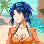  1girl axia-chan bikini bikini_under_clothes blue_eyes blue_hair breasts ciel cleavage eyewear_on_head looking_to_the_side lowres ocean palm_tree short_hair solo swimsuit tree tsukihime upper_body water 