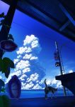  bench blue_sky cat clouds cloudy_sky day flower flower_request horizon leaf no_humans ocean original outdoors power_lines scenery sky tail takeyan_(774gon) traffic_light train_station 