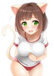  1girl animal_ears blush breasts brown_hair buruma cat_ears cat_girl cat_tail commentary_request double_vertical_stripe fang green_eyes gym_shirt highres idolmaster kibihimi large_breasts maekawa_miku open_mouth red_buruma shirt short_hair short_sleeves simple_background solo tail tail_raised thigh_gap white_background 
