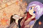  1girl :o autumn_leaves bangs bench black_legwear black_skirt blue_eyes blurry blurry_background blush book brown_cardigan cardigan chinomaron commentary_request depth_of_field eyebrows_visible_through_hair from_above gochuumon_wa_usagi_desu_ka? hair_between_eyes hair_ornament hair_tucking hand_up kafuu_chino leaf long_hair long_sleeves looking_at_viewer looking_up maple_leaf on_bed open_book park_bench parted_lips pleated_skirt purple_hair red_scarf scarf sitting skirt solo thigh-highs very_long_hair x_hair_ornament 