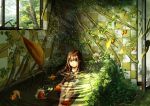  1girl absurdres bat brown_hair fish flower goldfish green_eyes highres indoors knees_up koi kokorin leaf long_hair open_door original partially_submerged plant ripples school_uniform serafuku sitting sunlight tile_wall tiles tree vines window 