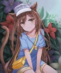  1girl animal_ears bangs between_legs blue_shirt brown_eyes brown_hair cat_ears cat_tail character_name collarbone eyebrows_visible_through_hair flower hand_between_legs hat hataraku_saibou head_tilt highres long_hair looking_at_viewer outdoors platelet_(hataraku_saibou) purple_flower rain red_flower shirt short_shorts short_sleeves shorts sitting smile solo sun_miru swept_bangs tail very_long_hair wet whistle whistle_around_neck white_hat yellow_shorts 