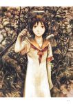  angel_wings artbook brown_eyes brown_hair haibane_renmei halo highres rakka school_uniform static_cling wings yoshitoshi_abe 