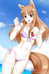  1girl alfred_cullado animal_ears bikini blue_sky breasts brown_hair clouds day dutch_angle eyebrows_visible_through_hair floating_hair groin highres holo jewelry long_hair looking_at_viewer navel necklace ocean open_mouth outdoors pouch purple_bikini red_eyes shiny shiny_hair side-tie_bikini sky small_breasts solo sparkle spice_and_wolf standing swimsuit tail under_boob watermark wolf_ears wolf_tail 