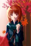  1girl absurdres autumn autumn_leaves bag bangs blue_coat blue_scarf blurry blurry_background blurry_foreground brown_eyes brown_hair casual clenched_hand closed_mouth coat commentary da-dang day depth_of_field english_commentary eyebrows_visible_through_hair fringe_trim girls_und_panzer highres long_sleeves looking_at_viewer nishizumi_miho open_clothes open_coat outdoors satchel scarf short_hair smile solo standing toggles upper_body 