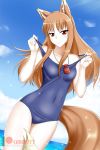  1girl alfred_cullado animal_ears blue_sky blue_swimsuit breasts brown_hair clouds collarbone covered_navel cowboy_shot day dutch_angle eyebrows_visible_through_hair floating_hair highres holo jewelry long_hair looking_at_viewer necklace ocean outdoors pouch red_eyes school_swimsuit shiny shiny_hair sky small_breasts smile solo sparkle spice_and_wolf standing swimsuit tail watermark wolf_ears wolf_tail 