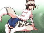  1girl african_wild_dog_(kemono_friends) african_wild_dog_print animal_ears animal_print arm_support ass black_hair bodystocking boots commentary_request day denim denim_shorts dog_ears dog_tail eyebrows_visible_through_hair from_behind full_body grass grey_eyes grey_hair isuna kemono_friends leaning_forward long_sleeves looking_at_viewer looking_back multicolored_hair open_mouth outdoors pocket shirt short_over_long_sleeves short_shorts short_sleeves shorts sidelocks sitting solo tail translated two-tone_hair white_footwear white_shirt 